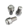 Cold Forging Mould Screw Bolt Metal Parts